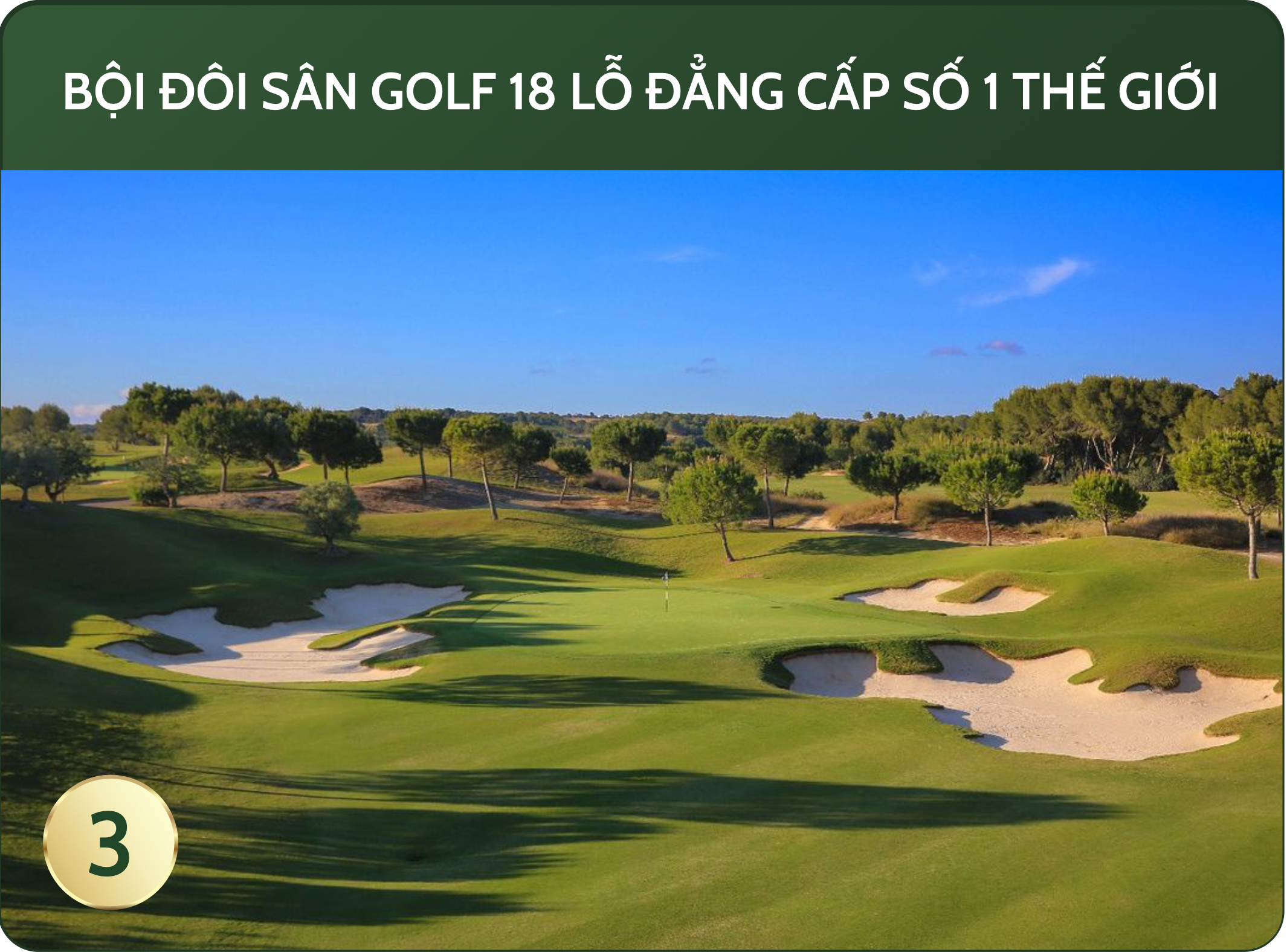 Trang Chủ ảnh màn hình 2025 10 03 lúc 10.28.54